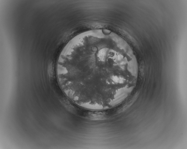 X0000112350359200909101048