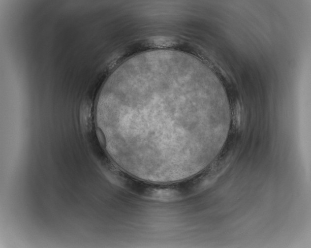 X0000112350360200909101048