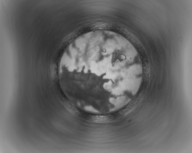 X0000112350361200909101048