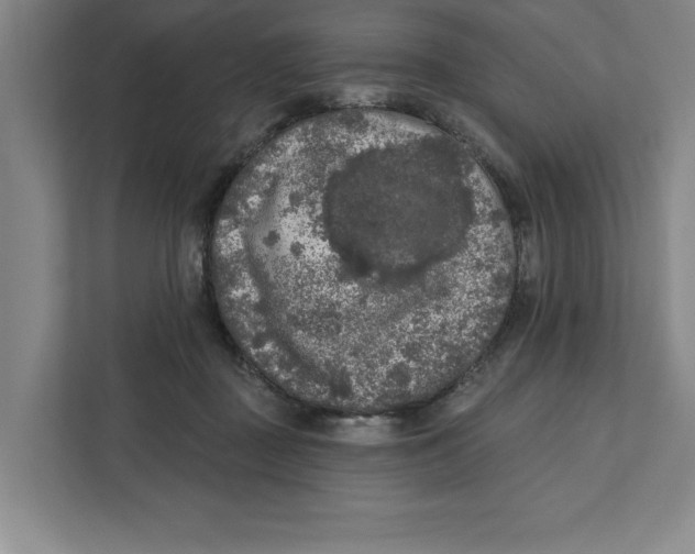 X0000112350363200909101048