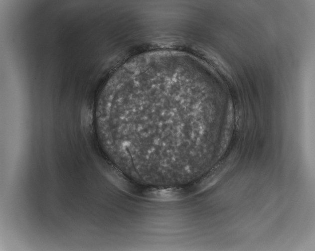 X0000112350365200909101048