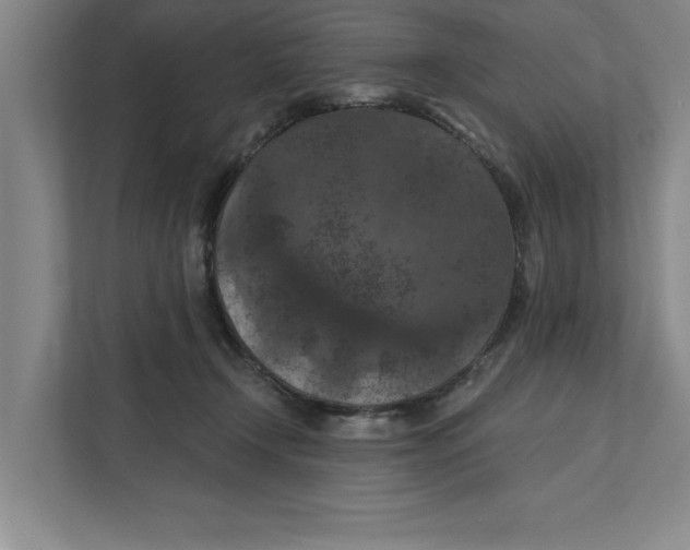 X0000112350366200909101048