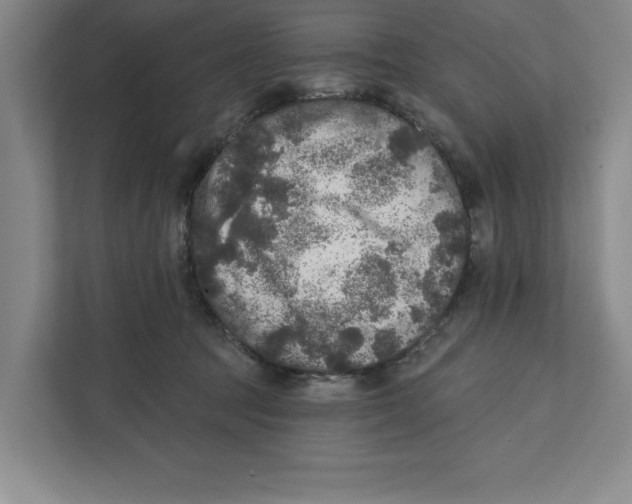 X0000112350369200909101048