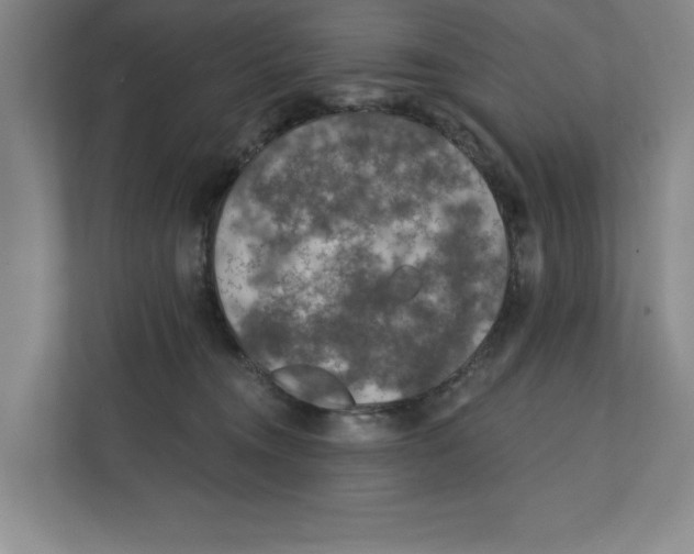 X0000112350372200909101048