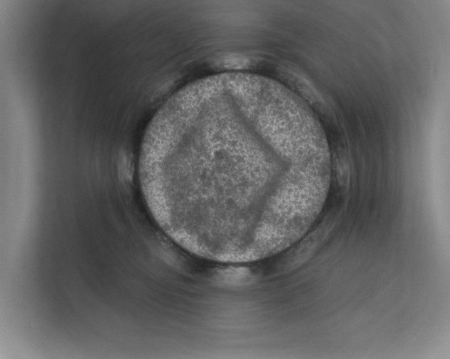 X0000112350374200909101048