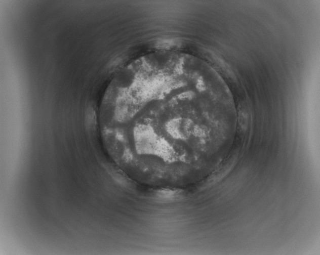 X0000112350375200909101048