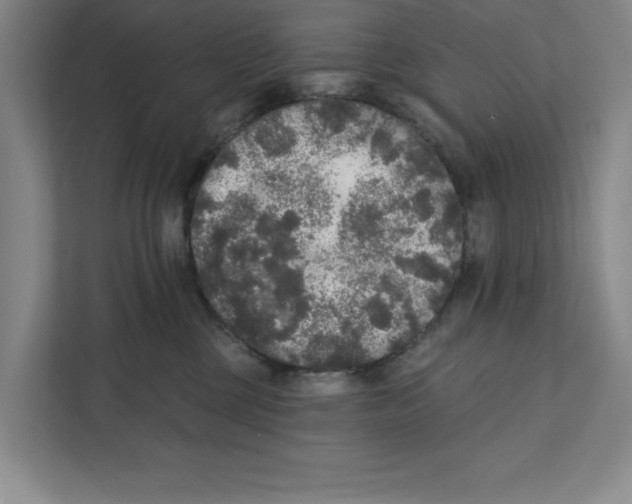 X0000112350377200909101048