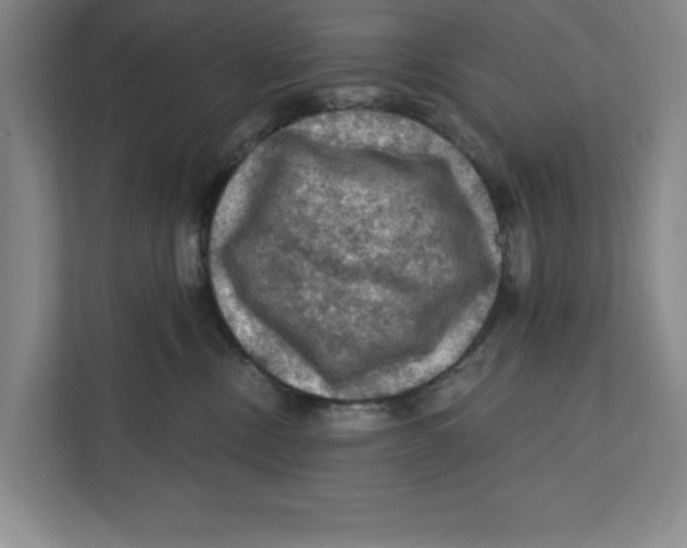 X0000112350378200909101048