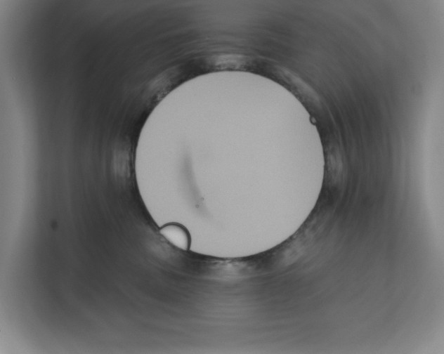 X0000112350379200909101048