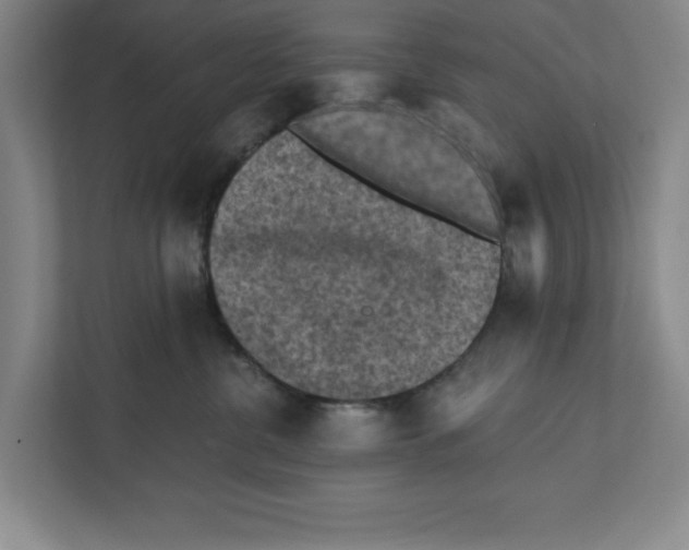 X0000112350380200909101048