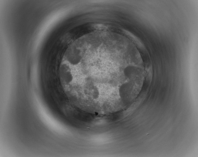 X0000112350381200909101048