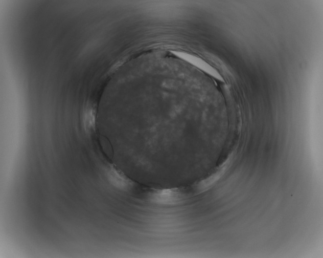 X0000112350382200909101048