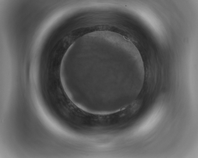 X0000112350383200909101048