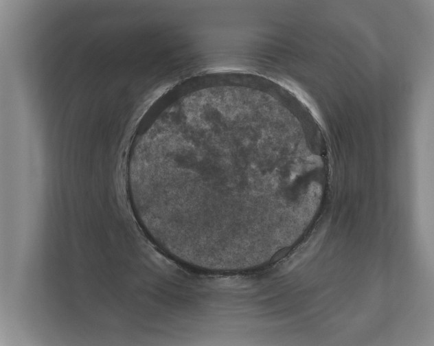 X0000112350385200909101047