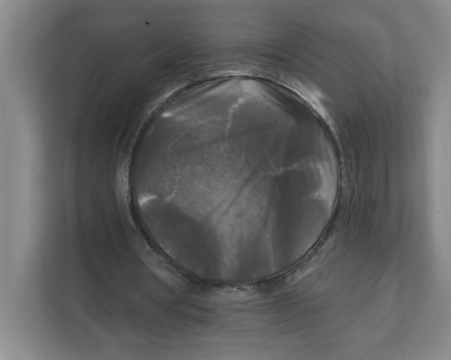 X0000112350386200909101047