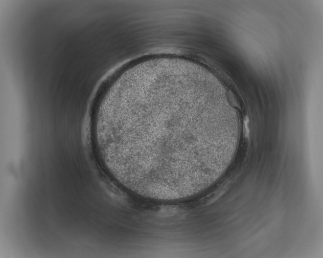 X0000112350388200909101047