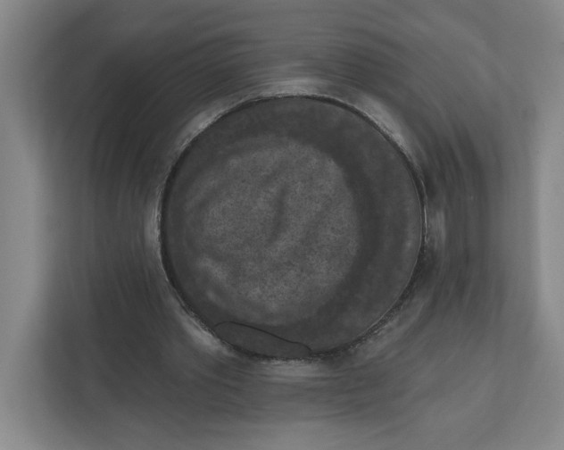 X0000112350389200909101047