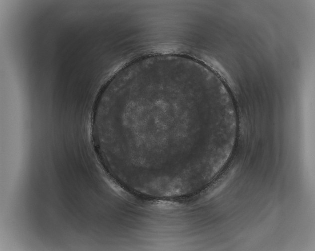 X0000112350393200909101047