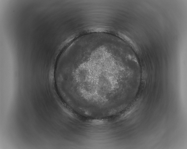 X0000112350394200909101047