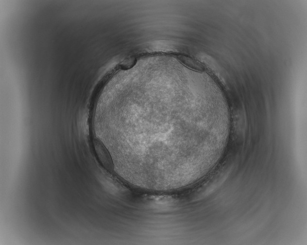 X0000112350395200909101047