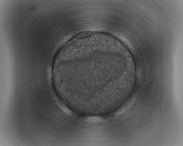 X0000112350397200909101047