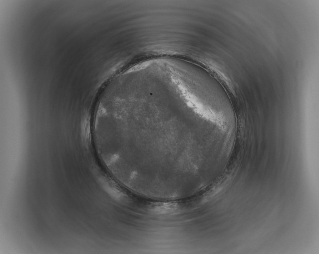 X0000112350398200909101047