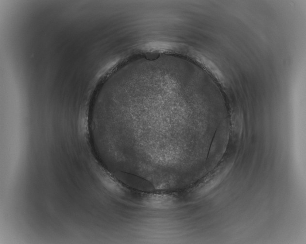 X0000112350399200909101047