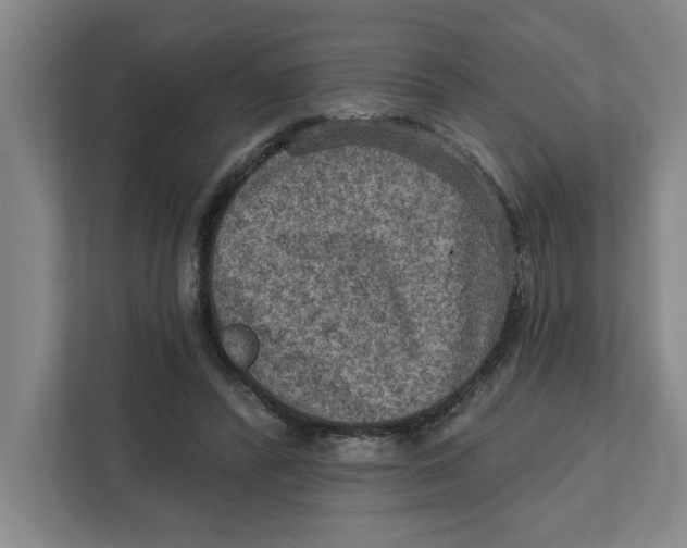 X0000112350400200909101047