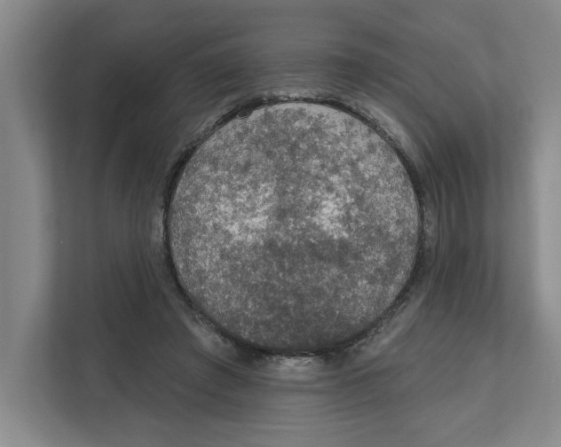 X0000112350401200909101047