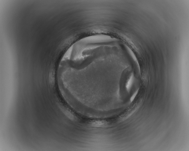 X0000112350402200909101047