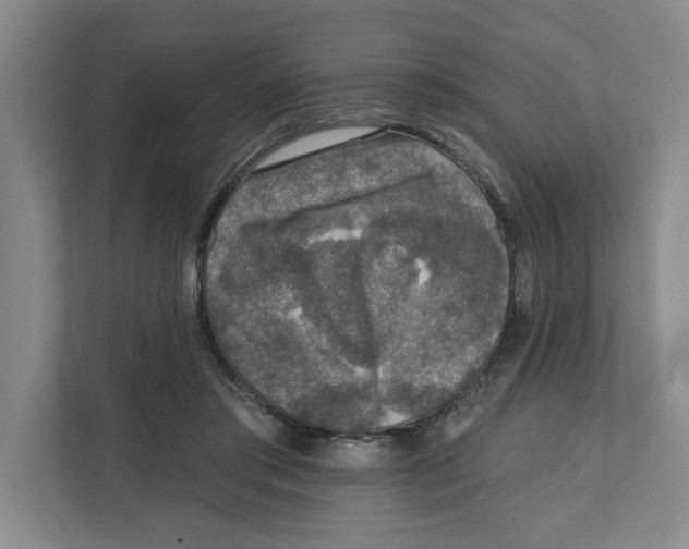 X0000112350405200909101047