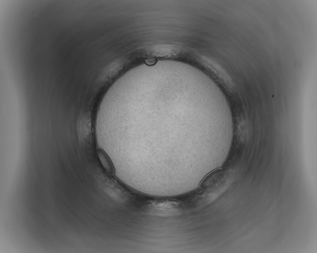 X0000112350407200909101047