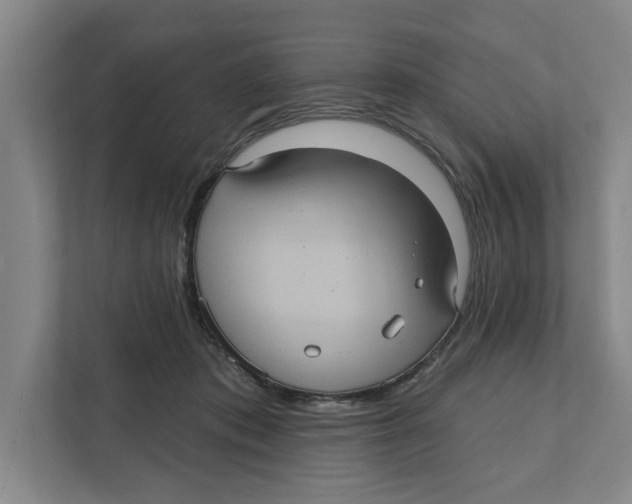 X0000112350413200909101047