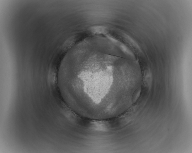 X0000112350417200909101047