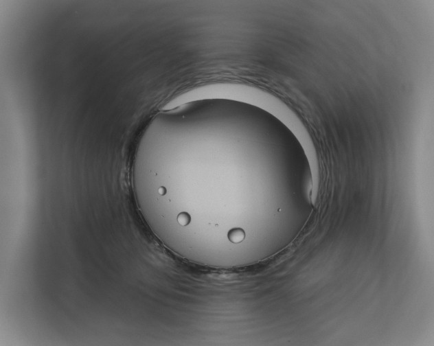 X0000112350419200909101047