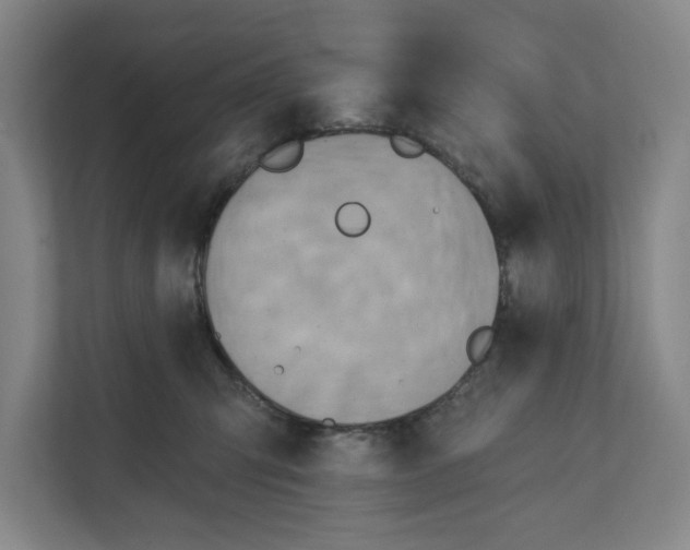 X0000112350423200909101047