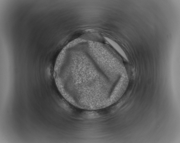 X0000112350424200909101047