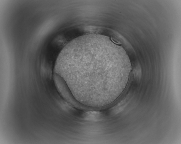 X0000112350429200909101047