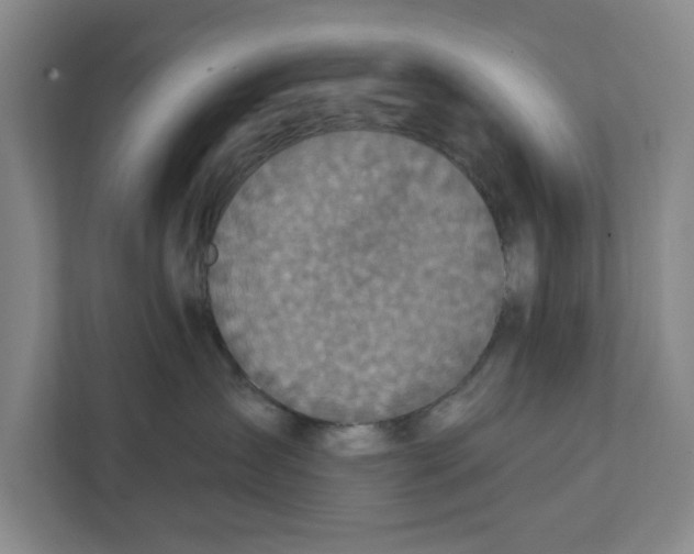 X0000112350431200909101047