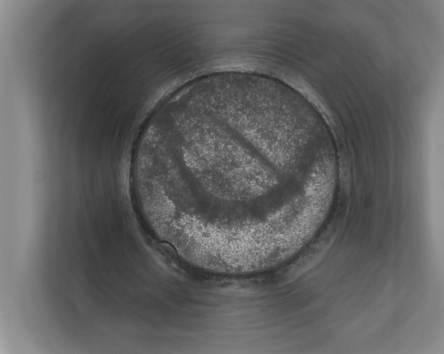 X0000112350434200909101046