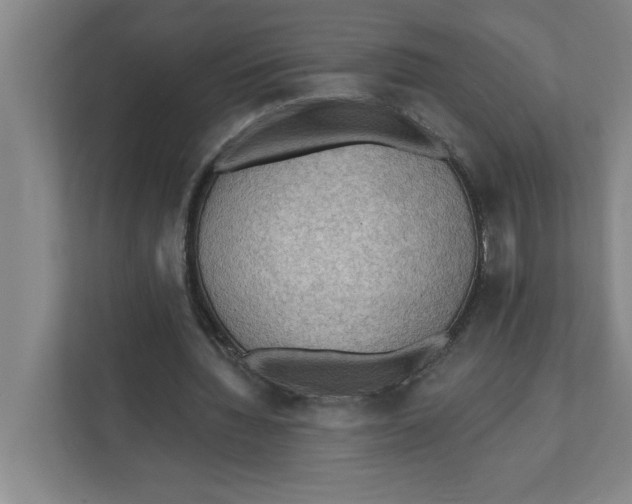 X0000112350436200909101046