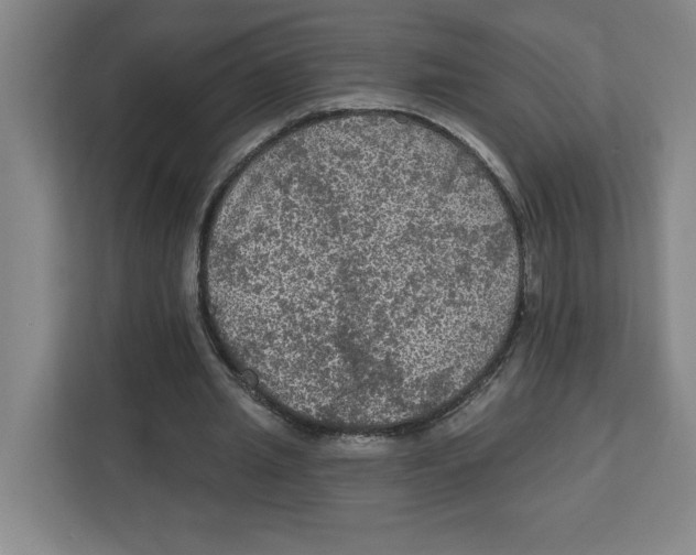 X0000112350437200909101046