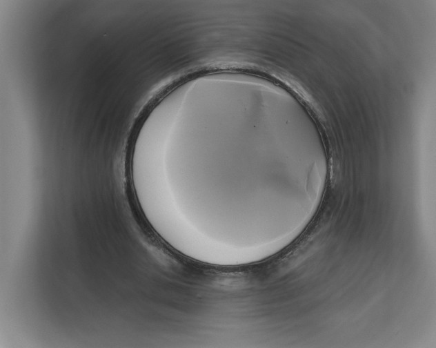 X0000112350438200909101046