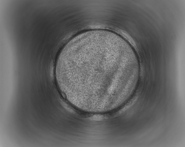 X0000112350441200909101046