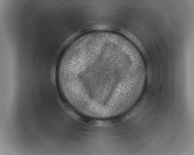 X0000112350442200909101046