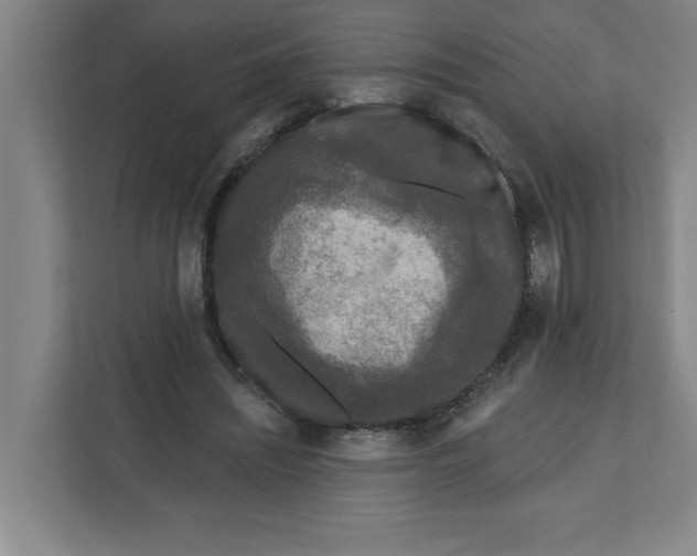 X0000112350444200909101046