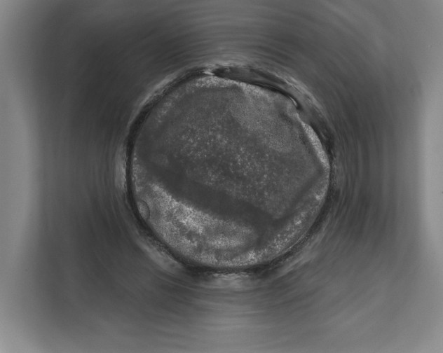 X0000112350446200909101046