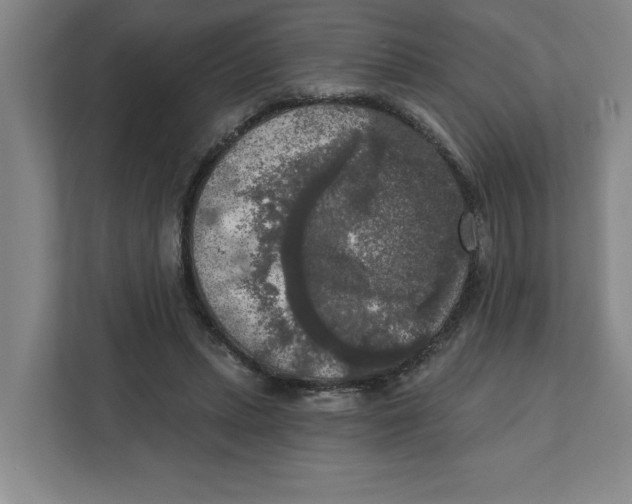 X0000112350447200909101046