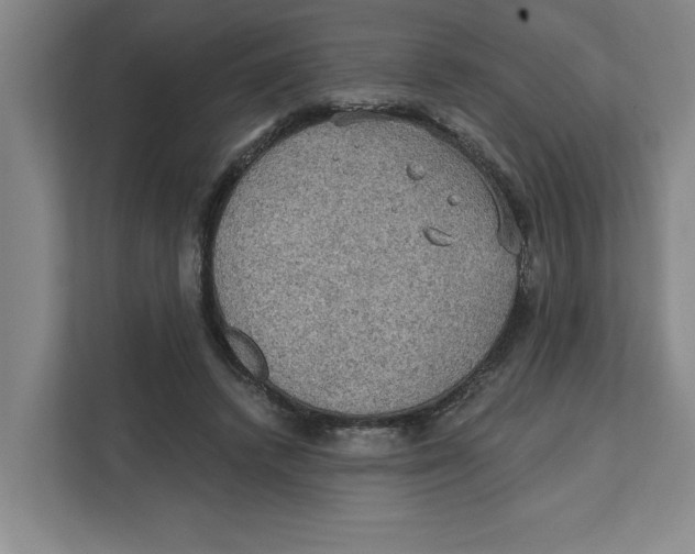 X0000112350448200909101046