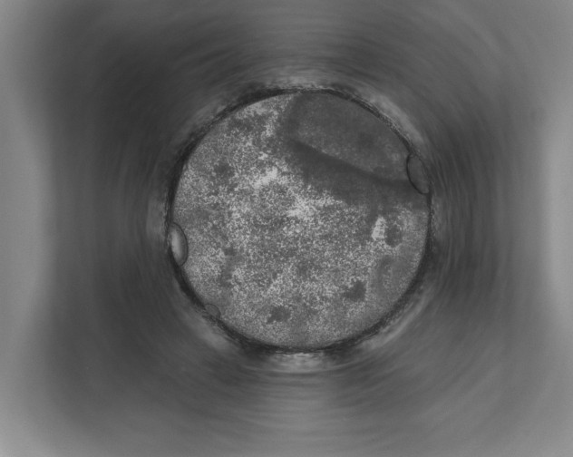 X0000112350449200909101046